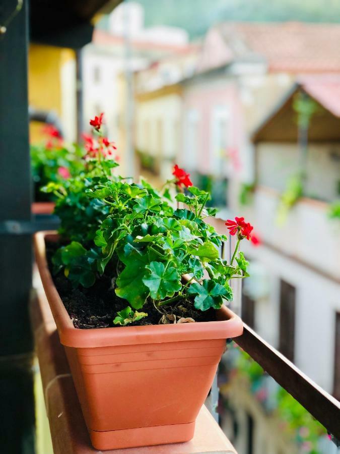 Il Terrazzino Iglesias Bed & Breakfast Exterior foto